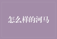 河马：你可知它们是夜深人静时的秘密派对爱好者？