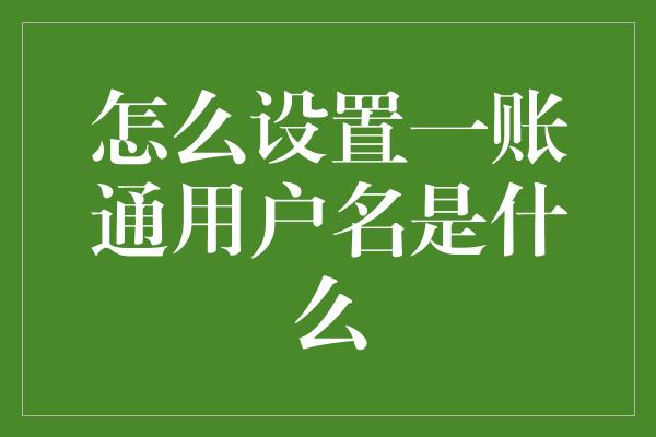 怎么设置一账通用户名是什么