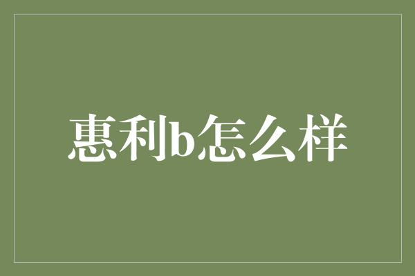 惠利b怎么样