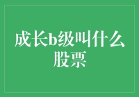 股票投资中的成长B级：跨越限制，向成熟资本跃迁