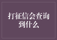 打征信会查询到什么：征信报告内容概览与解析