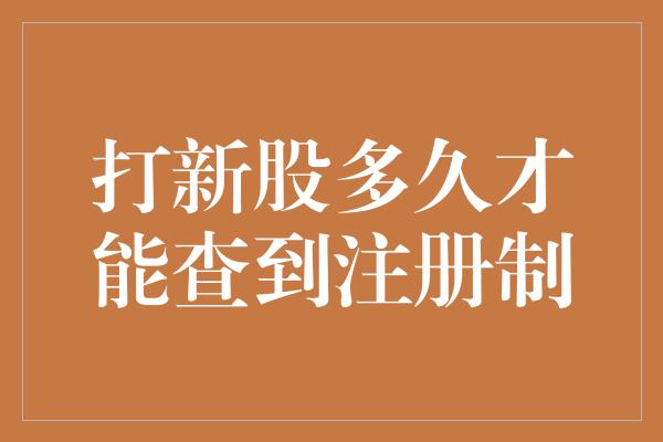 打新股多久才能查到注册制