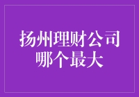 扬州理财公司哪家最大？让我带你来一探究竟！