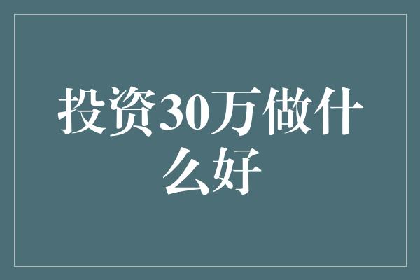 投资30万做什么好