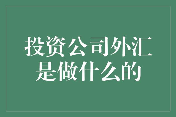 投资公司外汇是做什么的