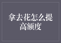 如何通过正确使用方式提高拿去花借款额度：策略与技巧