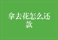 拿去花？借钱不还？君子不财也敢冒这个险！