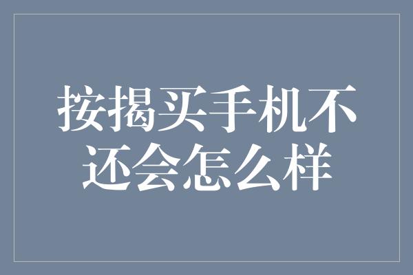 按揭买手机不还会怎么样