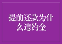 提前还款为什么会被笑称为违约？深层原因大揭秘！