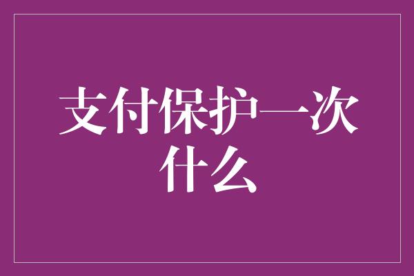 支付保护一次什么