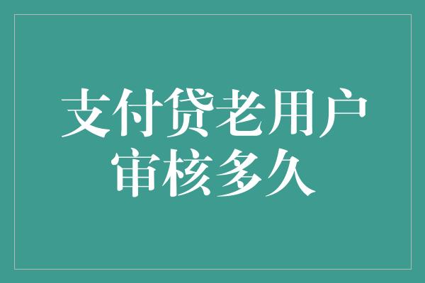 支付贷老用户审核多久