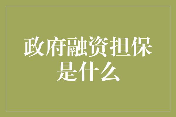 政府融资担保是什么