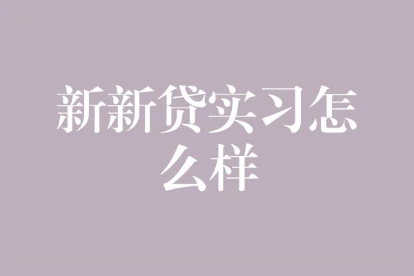 新新贷实习怎么样