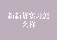 新新贷实习：金融科技行业的磨砺与成长