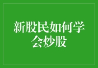 新股民如何学会炒股：从理论到实践的全过程指导