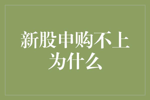 新股申购不上为什么