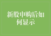 新股申购后的股票侦探故事：揭秘隐藏的申购信息