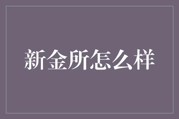 新金所怎么样