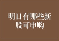 明日新股申购机会一览：把握投资新机遇