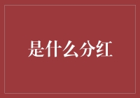 红利的流派：从公司分红到投资回报的全面解析