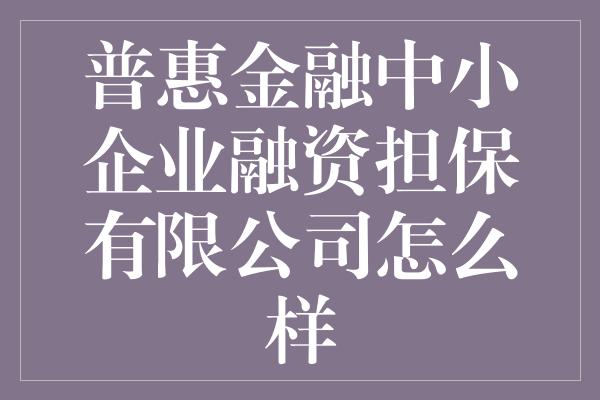 普惠金融中小企业融资担保有限公司怎么样