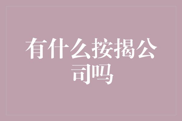 有什么按揭公司吗