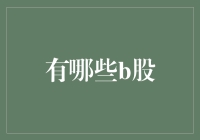 B股市场的探索与发现：多元化投资视角下的独特机遇