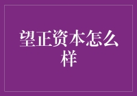 望正资本：如果望能赚钱，正就更是锦上添花！