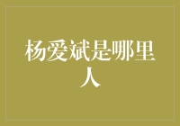 杨爱斌——中国量化投资领域的领军人物：他的故乡与成长经历