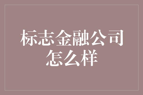 标志金融公司怎么样