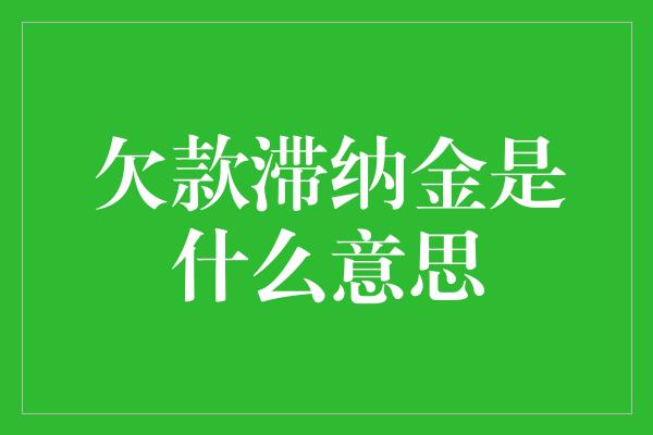 欠款滞纳金是什么意思