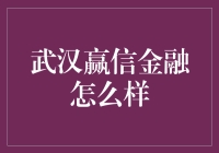 武汉赢信金融：多元金融服务平台的崛起与辉煌