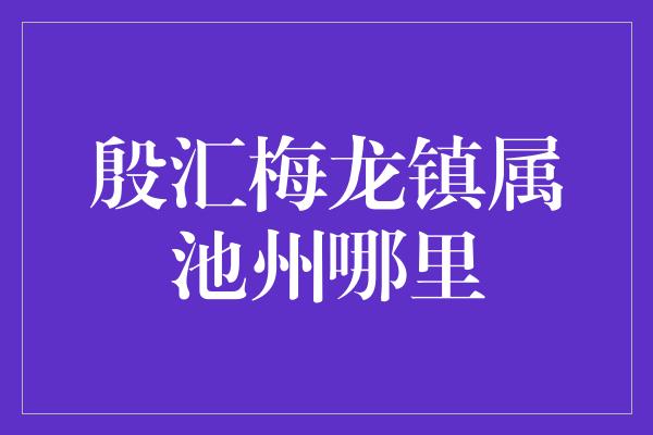 殷汇梅龙镇属池州哪里