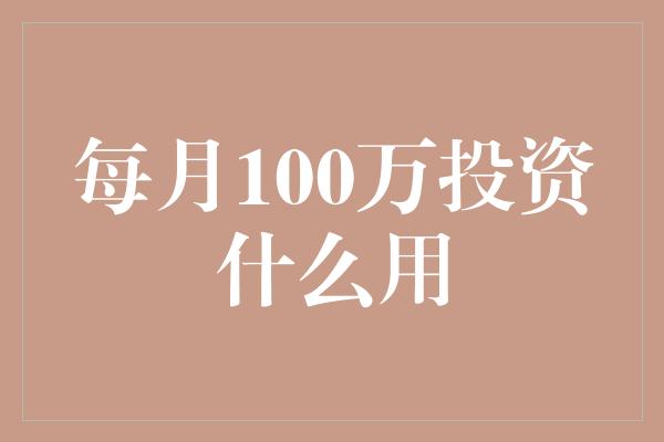 每月100万投资什么用