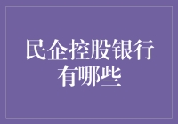 民企控股银行的奇幻冒险：是银行？是公司？还是神秘组织？