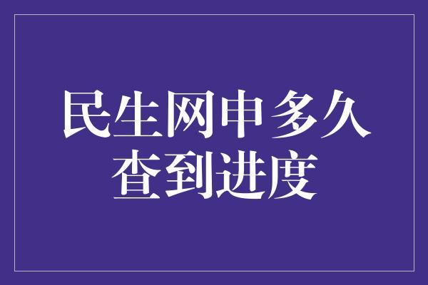 民生网申多久查到进度