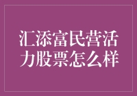 汇添富民营活力股票：专业化投资下的业绩增长与风险控制