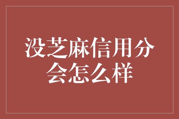 没芝麻信用分会怎么样