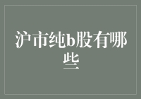 沪市纯B股有哪些？探秘那些只会跟老外说话的股票