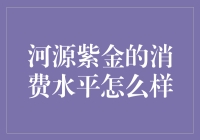 河源紫金的消费水平现状及其影响因素