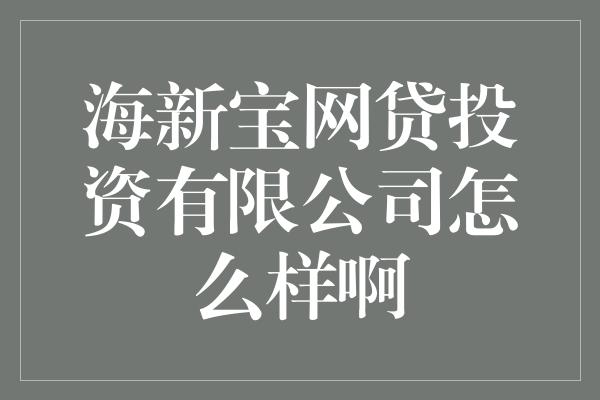 海新宝网贷投资有限公司怎么样啊