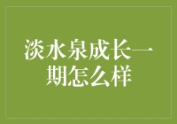 淡水泉成长一期基金：稳健与成长并重的投资典范