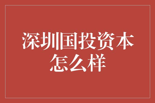 深圳国投资本怎么样