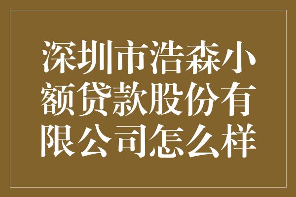 深圳市浩森小额贷款股份有限公司怎么样