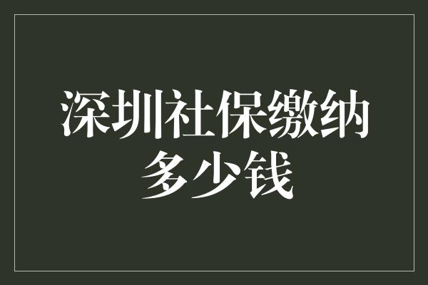 深圳社保缴纳多少钱