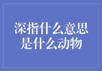 深指到底是什么意思？它是一只神秘的动物吗？