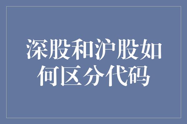 深股和沪股如何区分代码