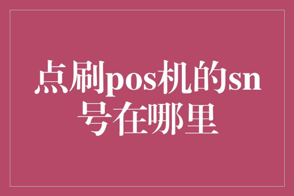 点刷pos机的sn号在哪里