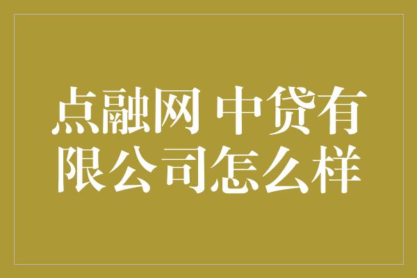 点融网 中贷有限公司怎么样