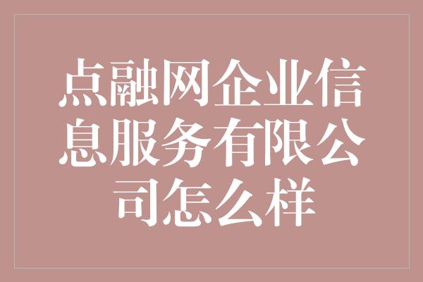 点融网企业信息服务有限公司怎么样